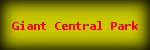 Giant Central Park