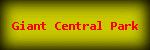 Giant Central Park