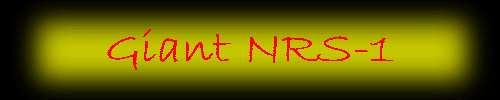 Giant NRS-1