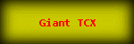 Giant TCX