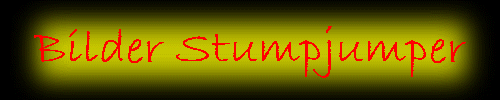 Bilder Stumpjumper