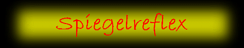 Spiegelreflex