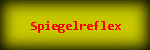 Spiegelreflex