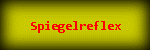 Spiegelreflex